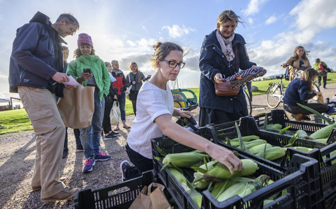 Local food nodes vill göra det enklare för användarna att hitta sina lokala matproducenter.