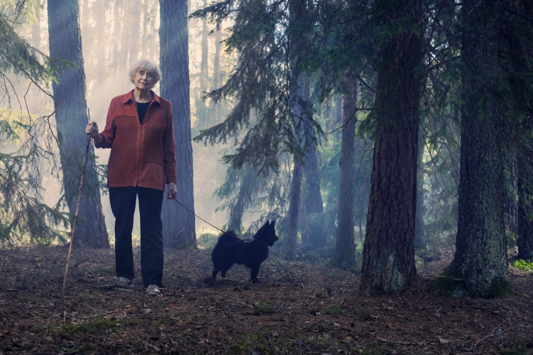 Kerstin Ekmans nya bok Löpa varg är en av flera intressanta böcker som kan lysa upp i höstmörkret.