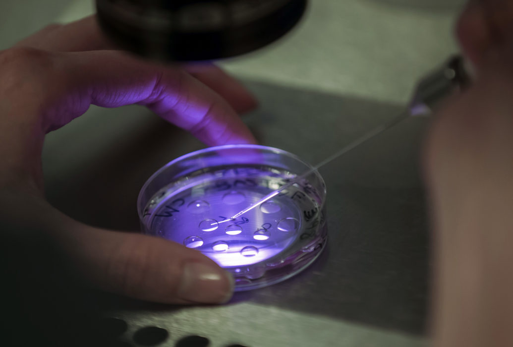Allt fler barn i Danmark och Sverige föds efter fertilitetsbehandling.