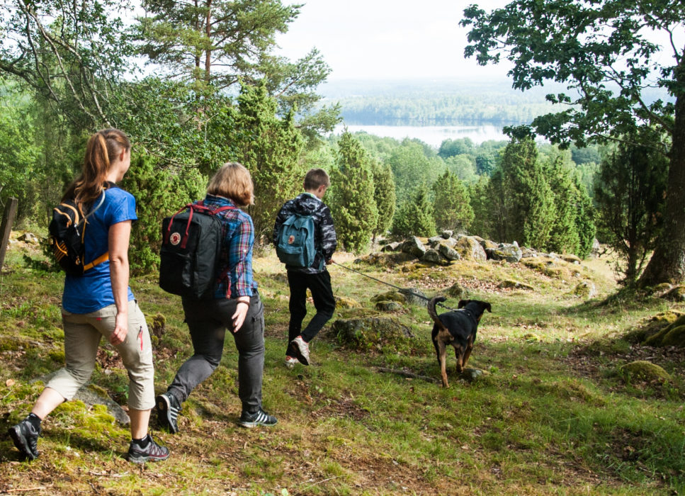 Olofström har en mångfacetterad natur med bland annat sjöar där man kan paddla kanot.