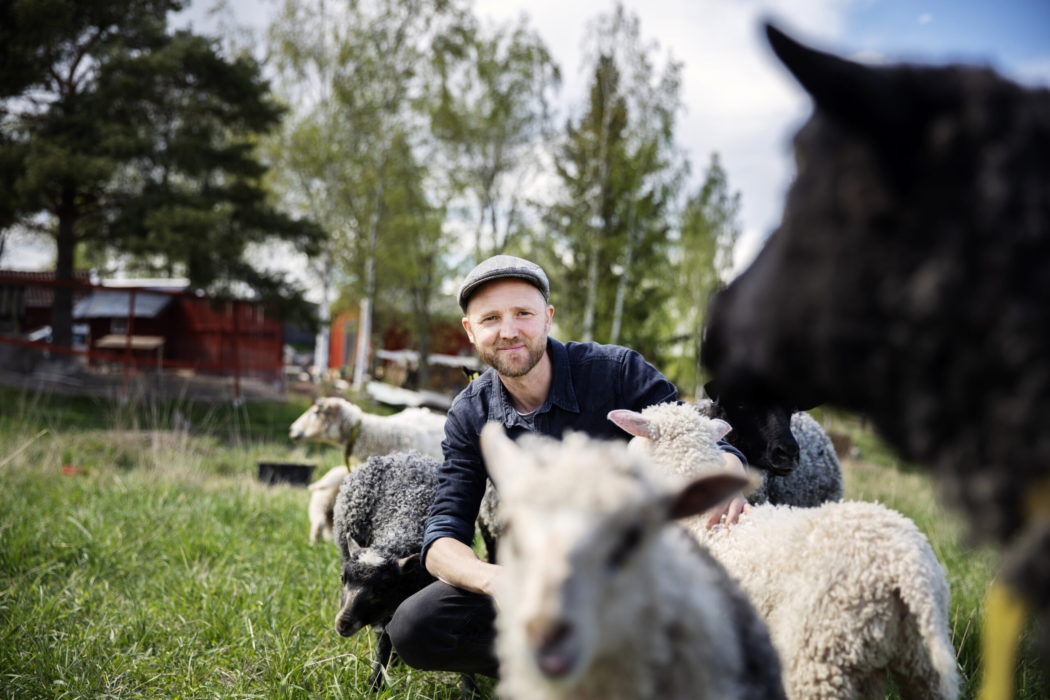 För sex år sedan flyttade David Jonstad med familj till Stora Skedvi i Dalarna.