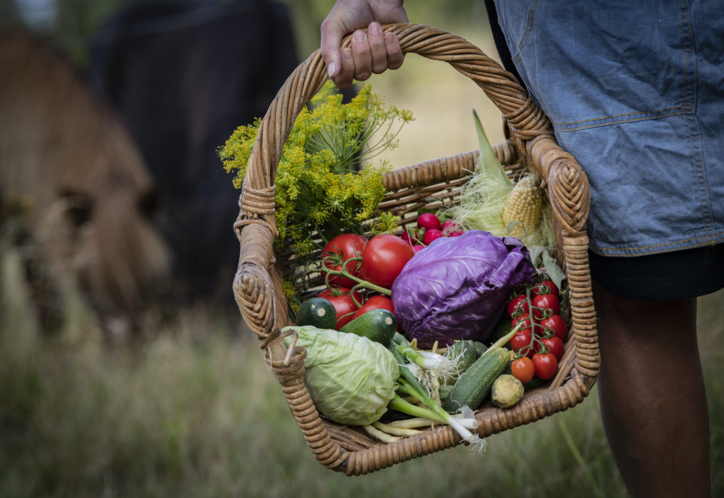 Mer grönsaker och mindre kött – att följa en diet som är tänkt vara hållbar för planeten kan minska risken att dö i förtid.