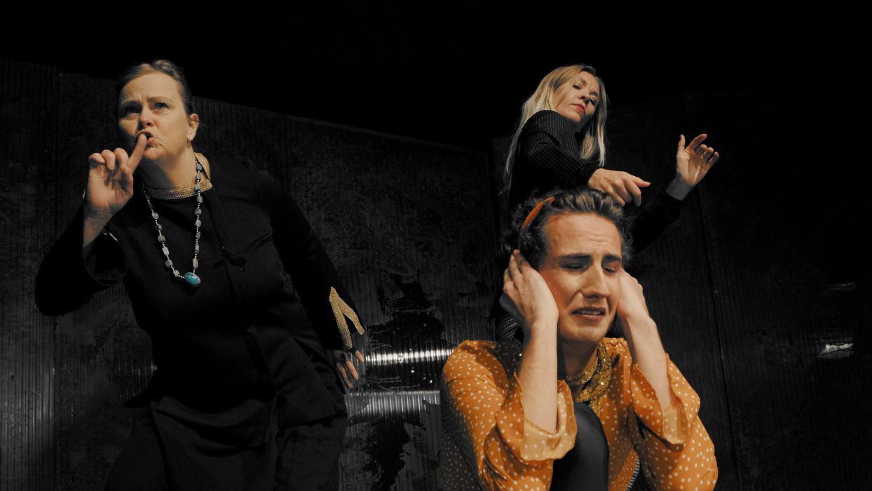 Berit Engman, Amanda Billberg och William Hautala Becker spelar huvudrollerna i dramat Hon och han som försvann.