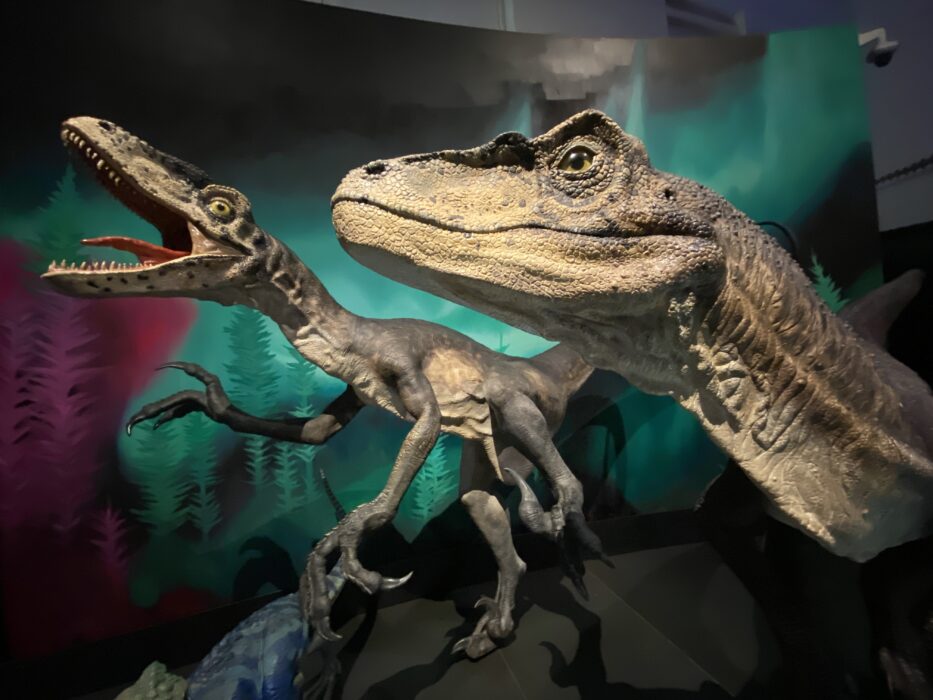 Kanske hade dinosaurierna klarat sig om meteoriten som slog ut dem hade träffat jorden en annan årstid.