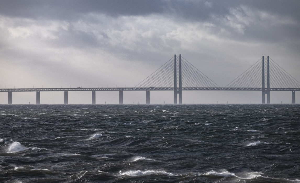 Oron växer för havsmiljön i Öresund.