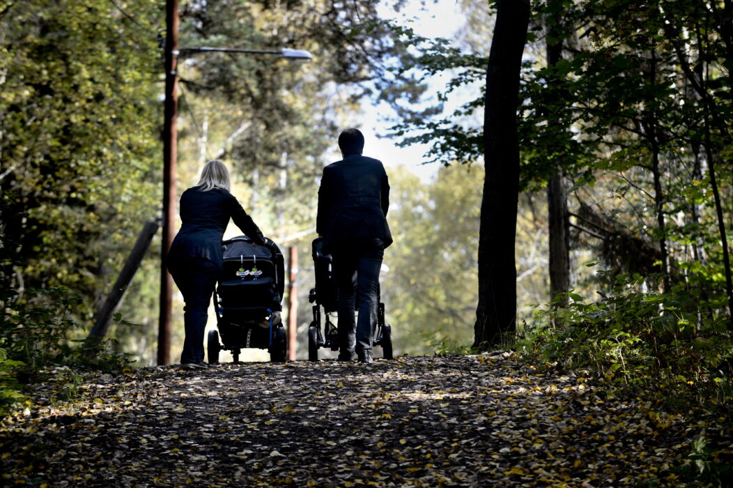 En skog nära en stad ska kunna leva upp till många krav.