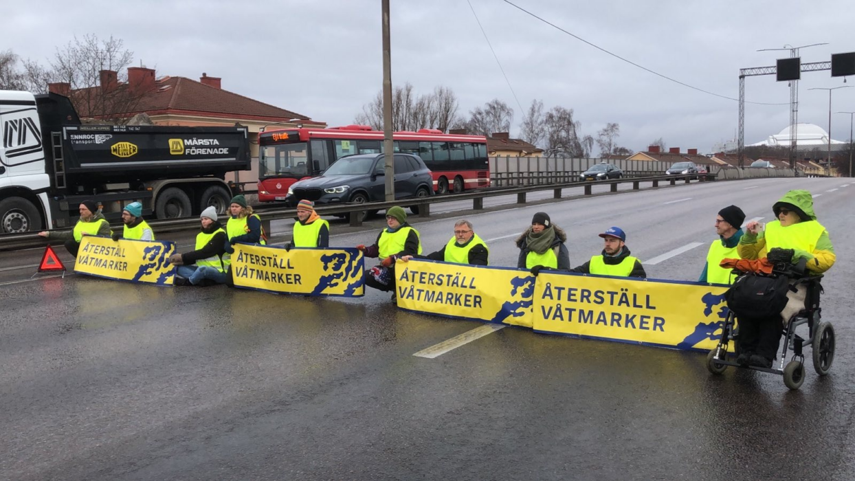 ”Sverige missar 15 av sina egna miljömål, varav ett är “myllrande våtmarker”.