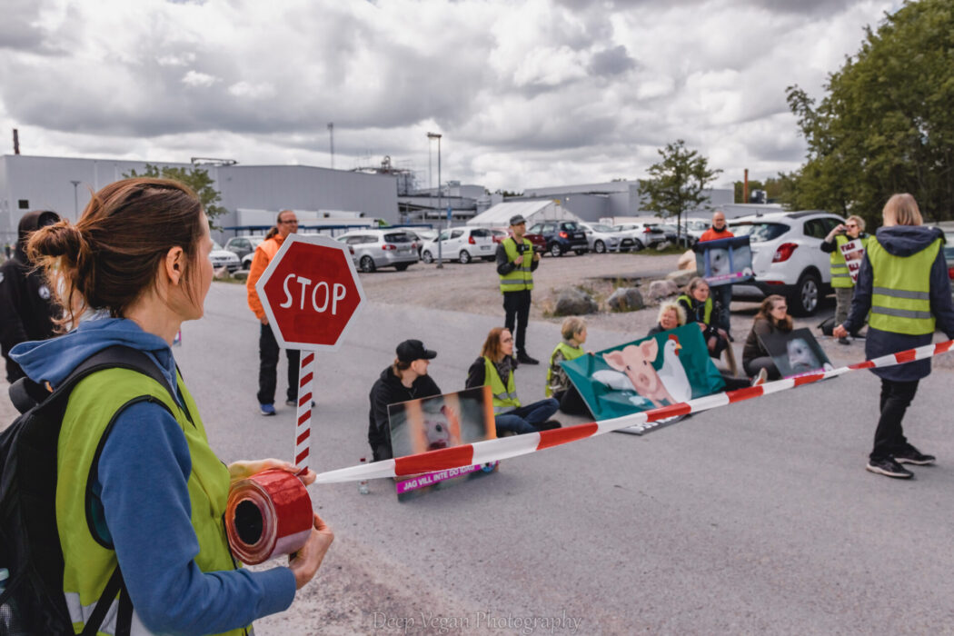 Blockad utanför grindarna till Kronfågels slakteri.