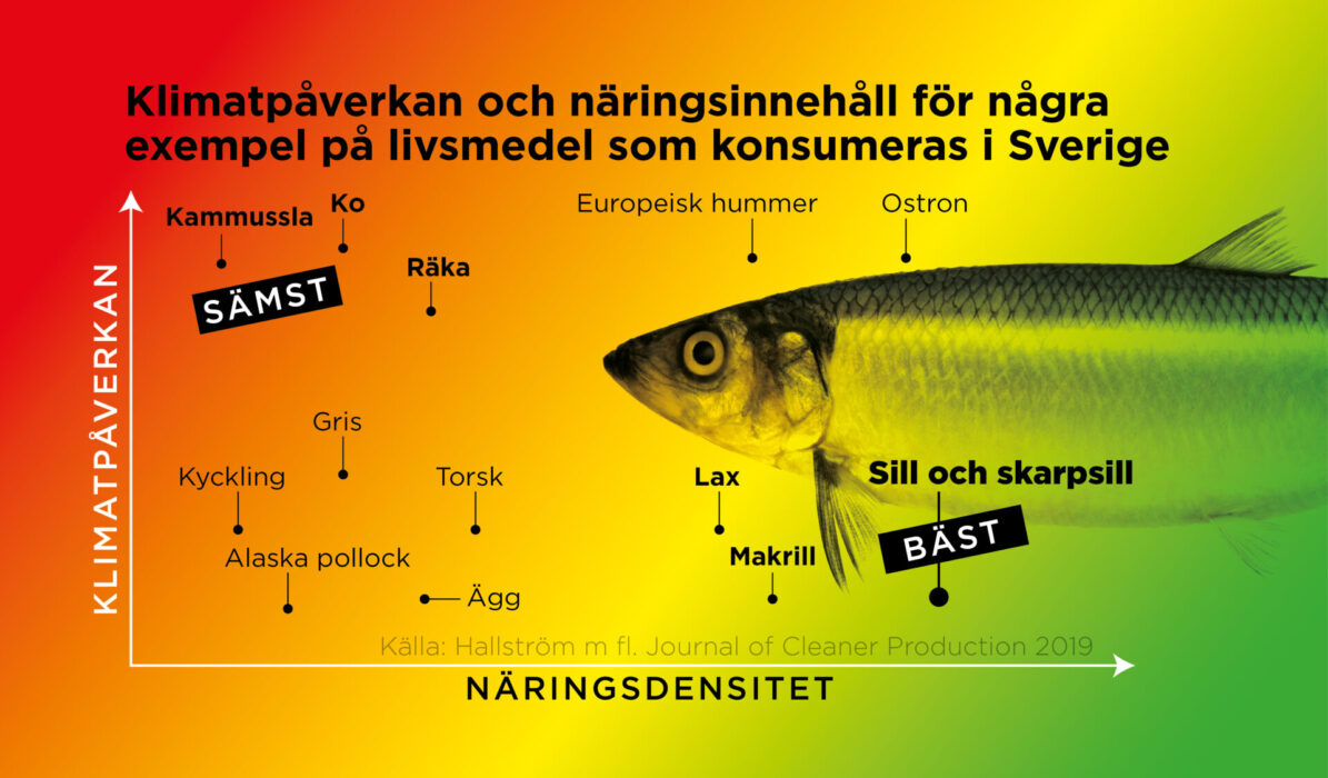 Klimatpåverkan och näringsinnehåll för några exempel på livsmedel som konsumeras i Sverige.