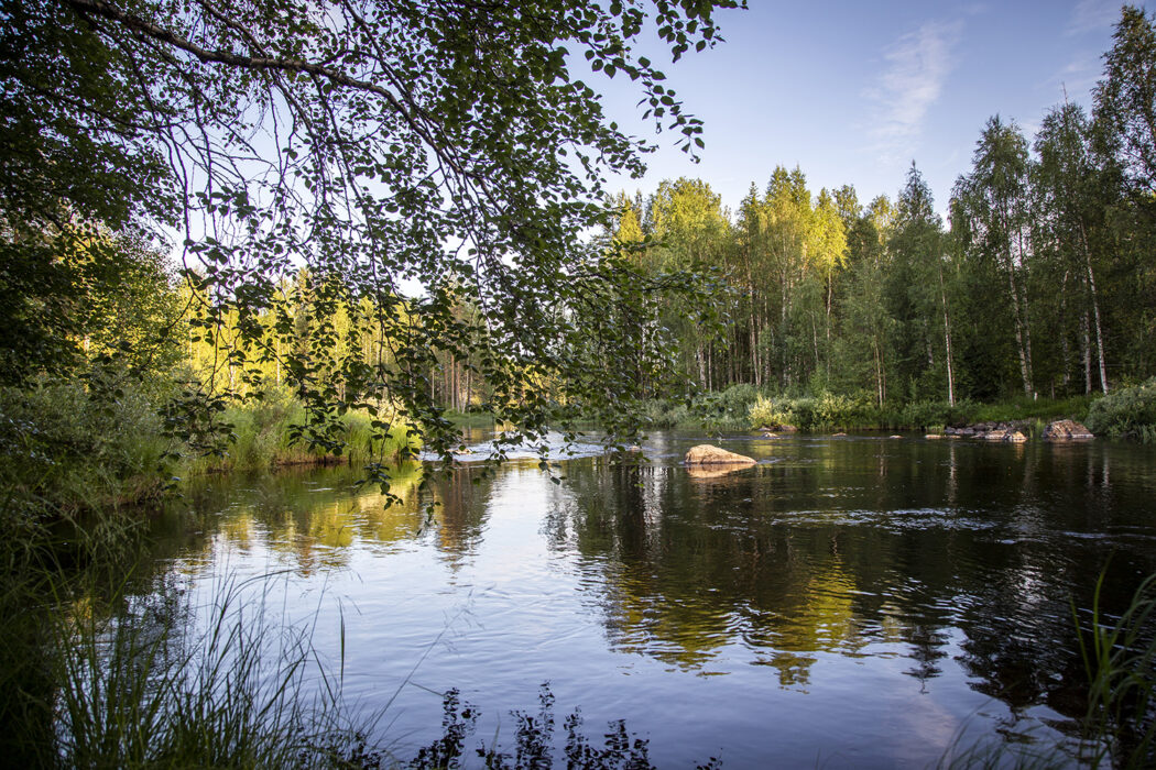 Ren natur är en mänsklig rättighet, enligt ett beslut i FN, och biologisk mångfald är avgörande för en "god livskvalitet" i framtiden.
