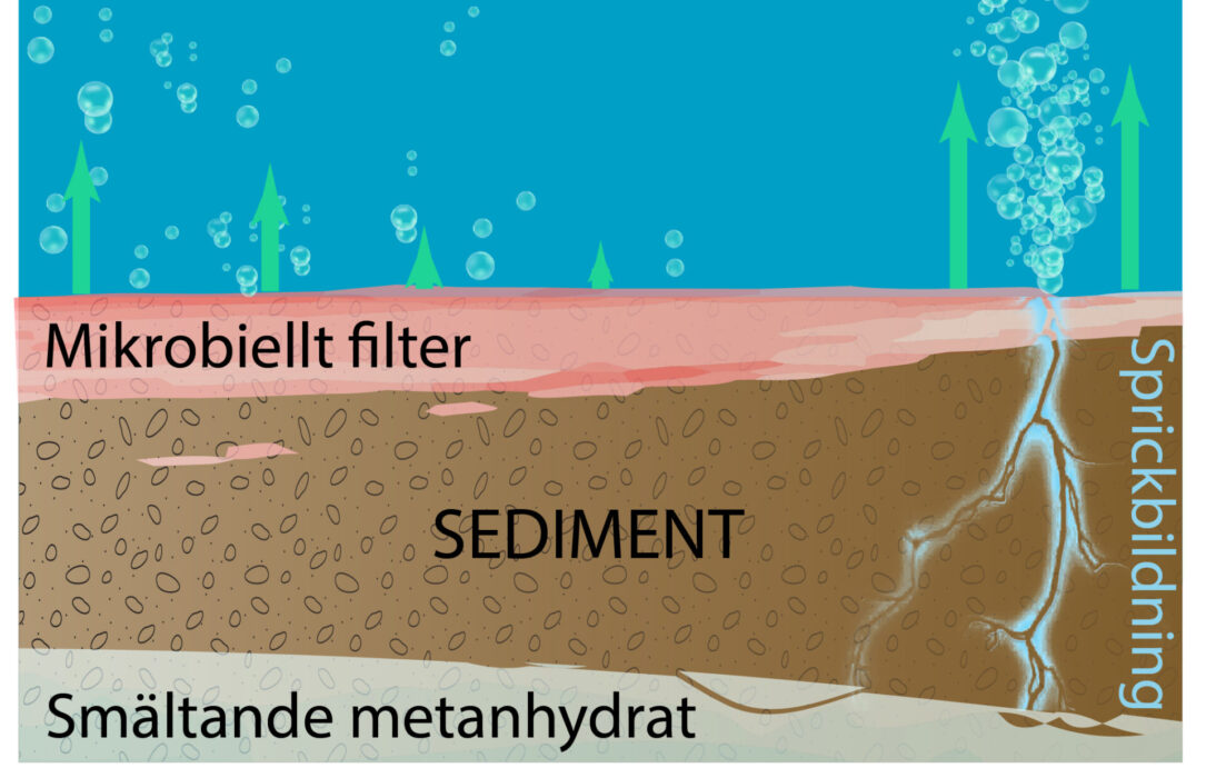 Mikrober är avgörande för klimatet.