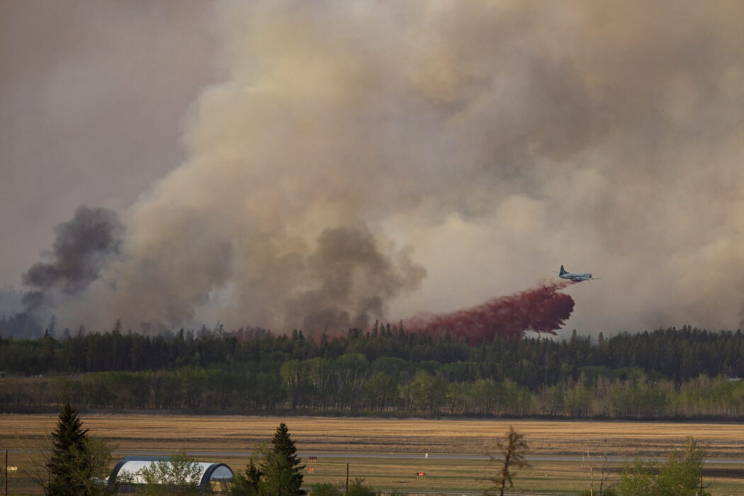 Forskare har identifierat skogsområden i världen som är extra utsatta för klimatförändringar som kan leda till skogsbränder.