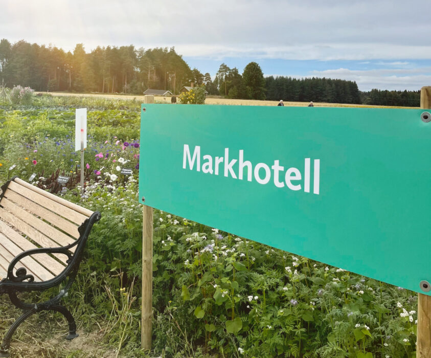 Piteå kommun har i år öppnat ett markhotell, som ska ge de utan egen mark möjlighet att odla för att sälja sina grödor lokalt.