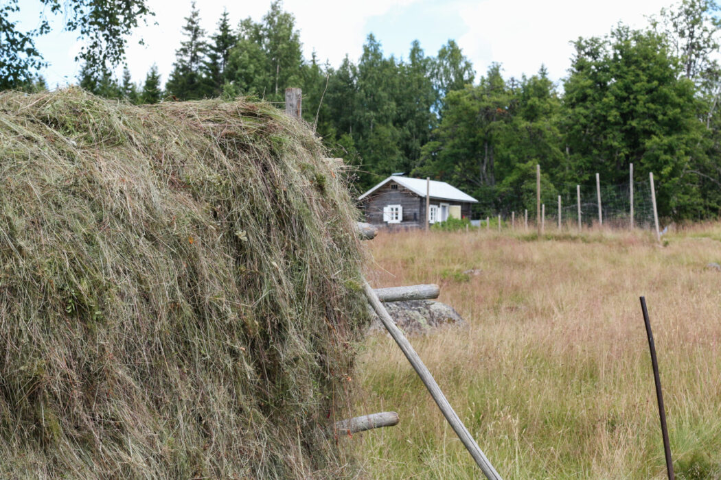 Långvarigt brukande på en plats skapar både naturmiljöer och kulturarv.