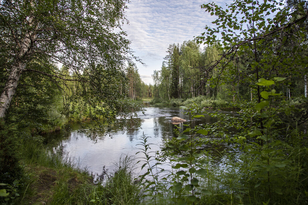 Efter valet var det ovanligt många som ville bli medlemmar i Naturskyddsföreningen.