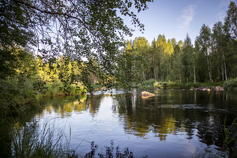 Restaurerad natur är ämnet för ett fyra dagar långt möte online i helgen.