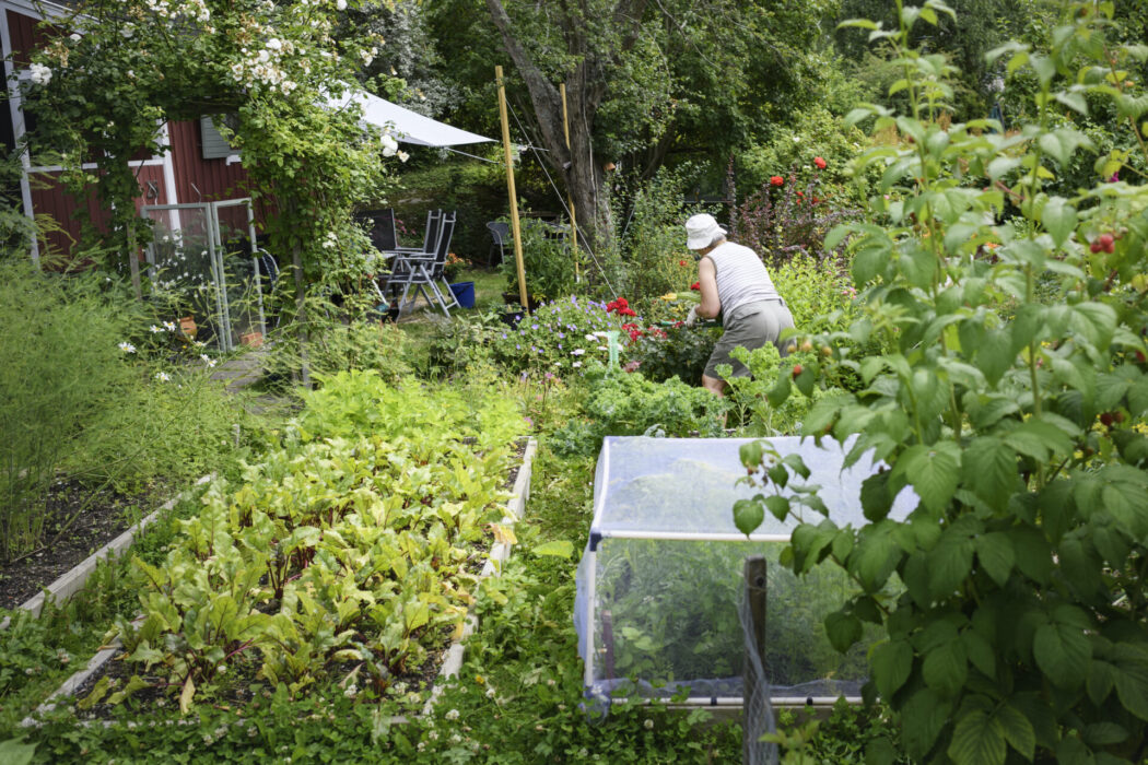 Tänk kretslopp och få ett samarbete som bär frukt – och grönt.
