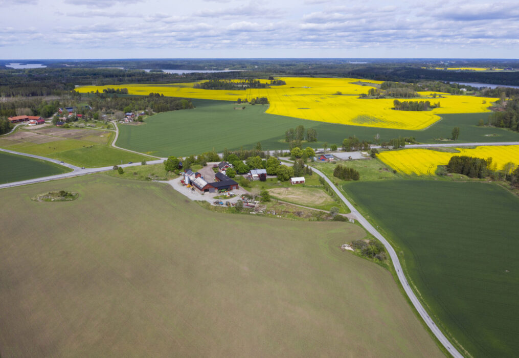 ”Den mosaik som syns i flygbilder av traditionella odlingslandskap, fyller en funktion.