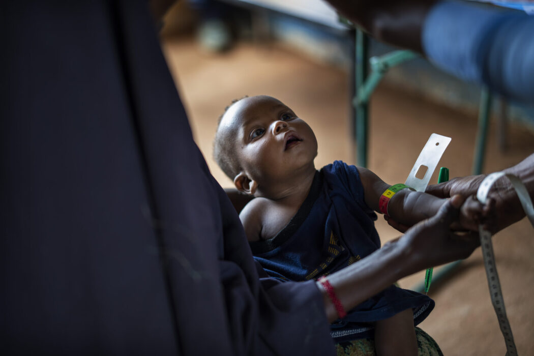 Torka och höga matpriser slår hårt mot Somalia, som riskerar att drabbas av en svältkatastrof under nästa år enligt en rapport från IRC.