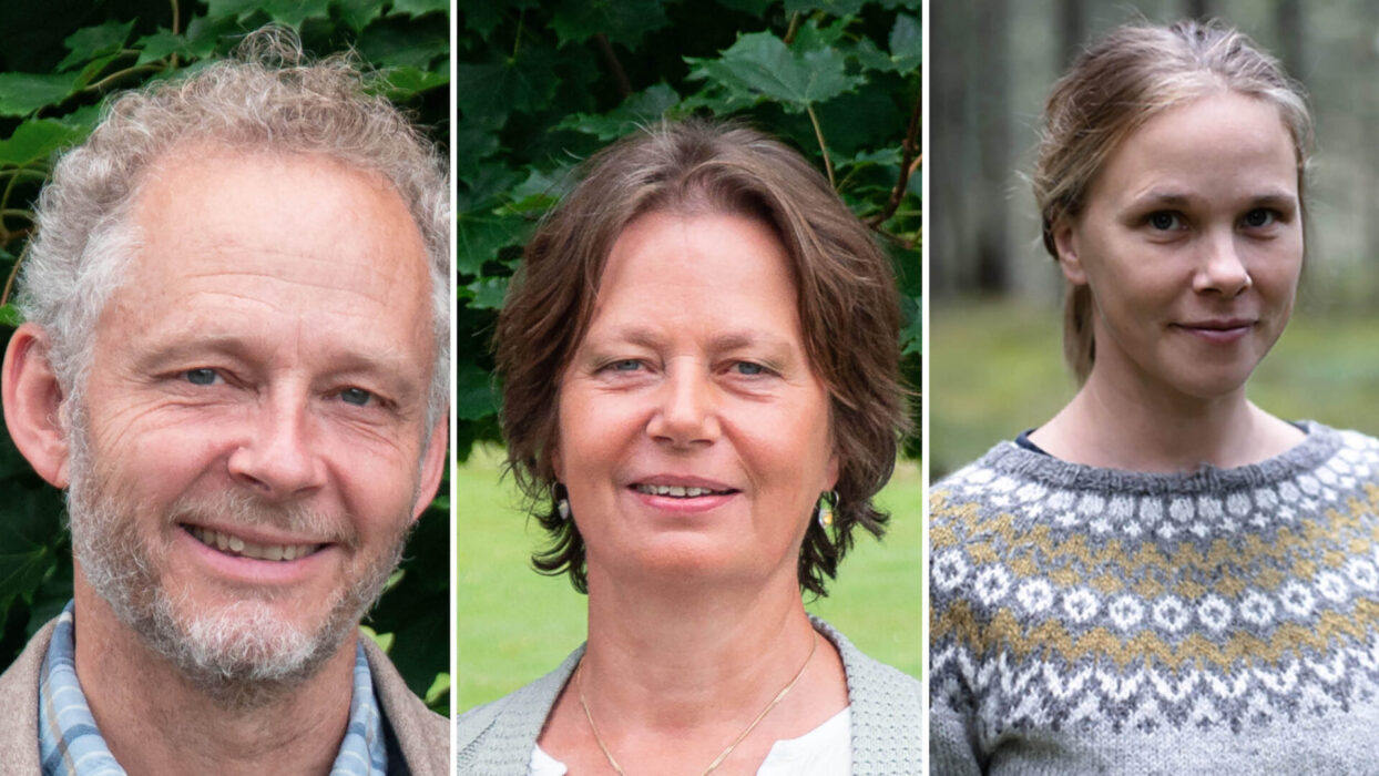 Nikolas Berg, Ingrid Berg och Maria Engelbrektsson är tre av författarna bakom boken Framtidens by – när lokalsamhällen tar sig rätten att blomstra.