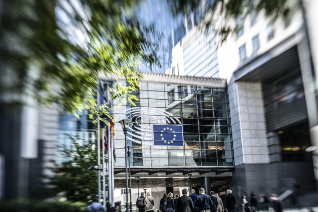 EU arbetar med ett förslag på hur företag ska ta ansvar för hur deras verksamhet påverkar mänskliga rättigheter och miljön.