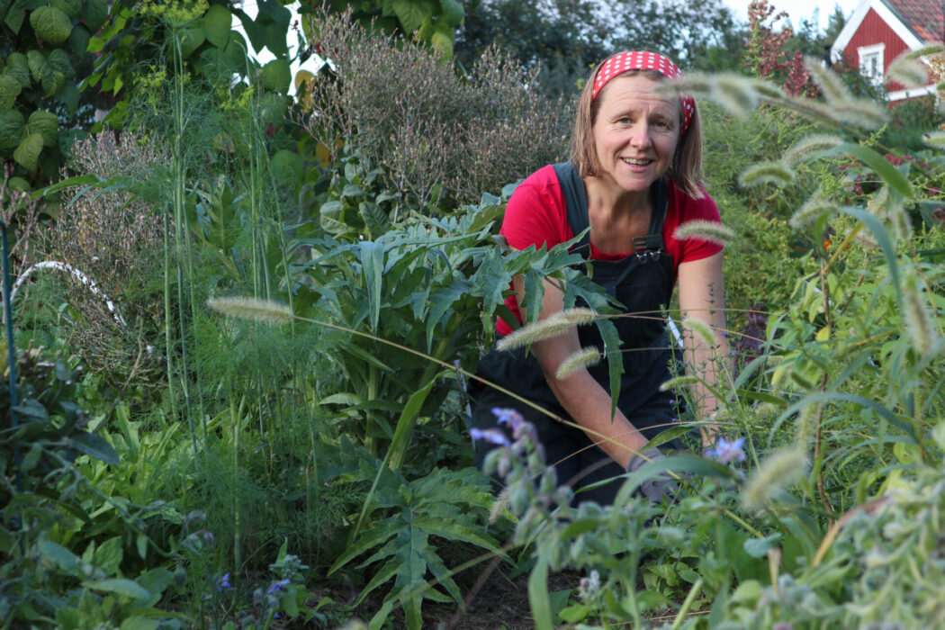 Hillevi Helmfrid är utbildad agronom och fristående konsult i hållbarhet.