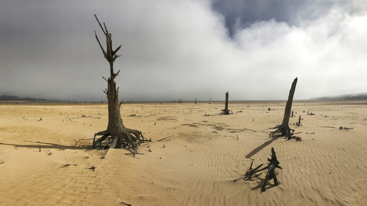 Theewaterskloof-dammen i Kapstaden, tom på vatten.
