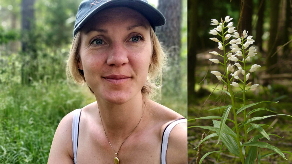 Hyggesfritt skogsbruk är "är ett nygammalt sätt att tänka", säger kommunens miljöstrateg Frida Gustafsson.