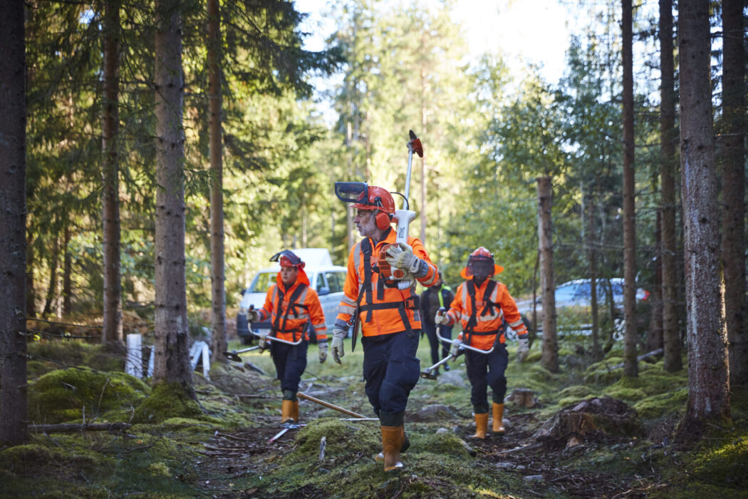 Röjning, underhåll och bekämpning av invasiva arter var några att uppgifterna i projektet Naturnära jobb.
