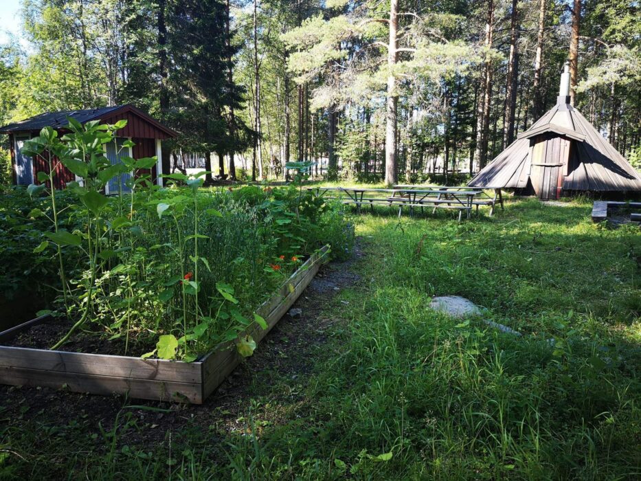 20 skolor i Malmö och Umeå ska arbeta med hur skolmaten ska bli mer hållbar och hälsosam.