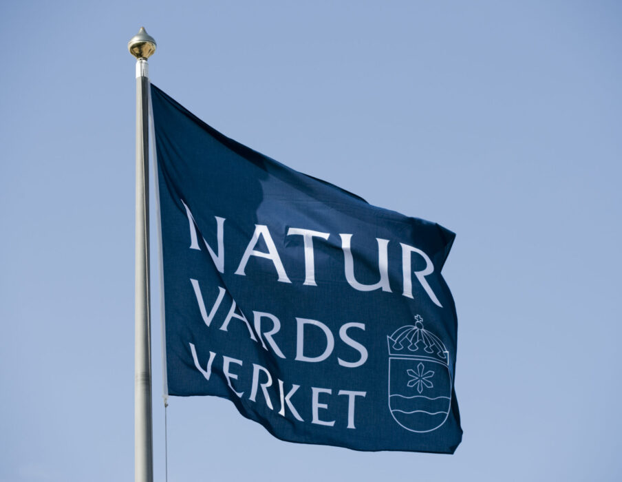 Naturvårdsverket delar ut bidrag till miljöorganisationer.