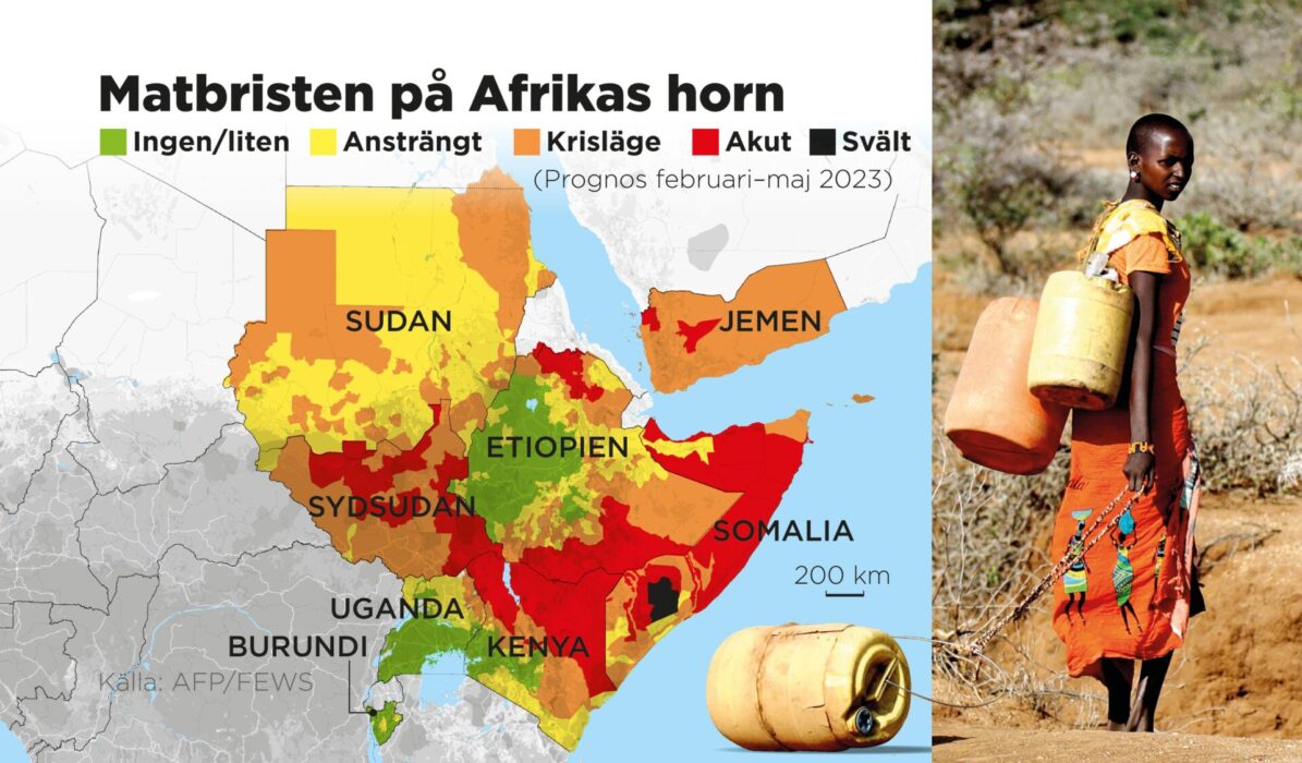 Över 20 miljoner människor riskerar att svälta och mer än 5 miljoner barn är akut undernärda på grund av torkan.