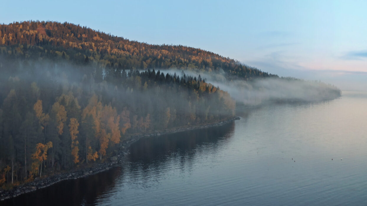 Sveriges natur skildras av BBC.