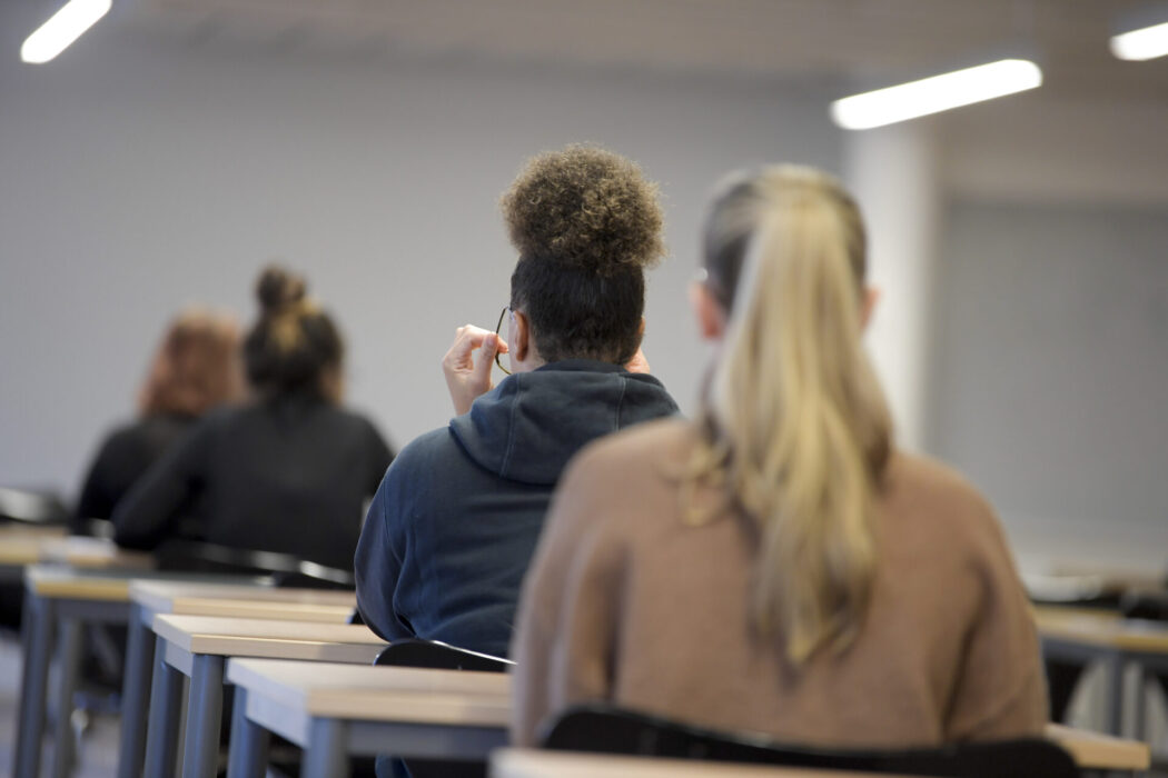 Andelen studerande som använder både bidraget och lånedelen av studiemedlet ökar.