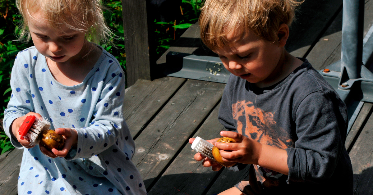 Två barn skrubbar potatis på en veranda inför midsommarlunchen.