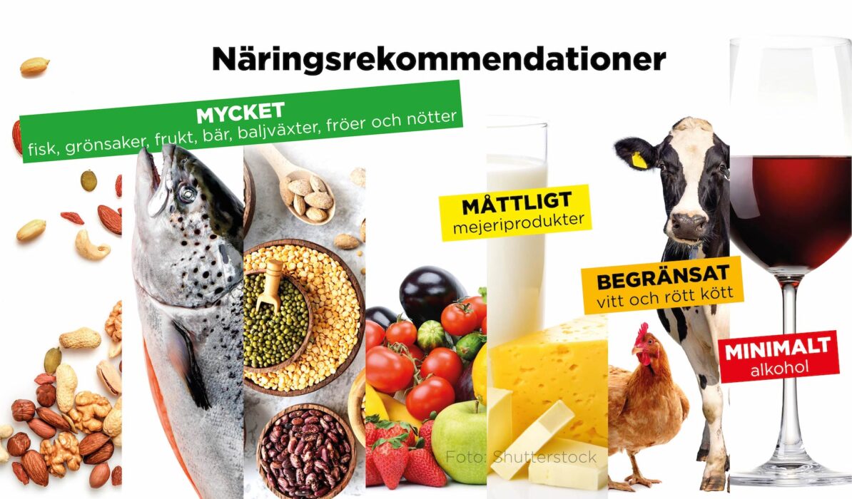 Mindre rött kött och helst ingen alkohol alls, det är de nya nordiska näringsrekommendationerna för hälsan och klimatets skull.