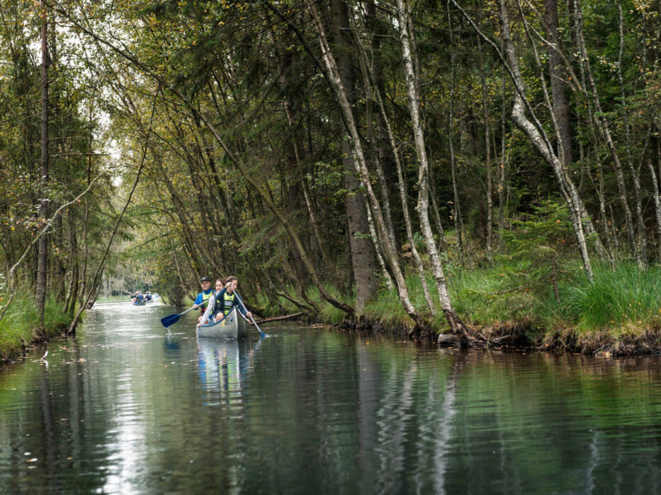 Ta en paddeltur i Vättlefjälls naturreservat utanför Göteborg.