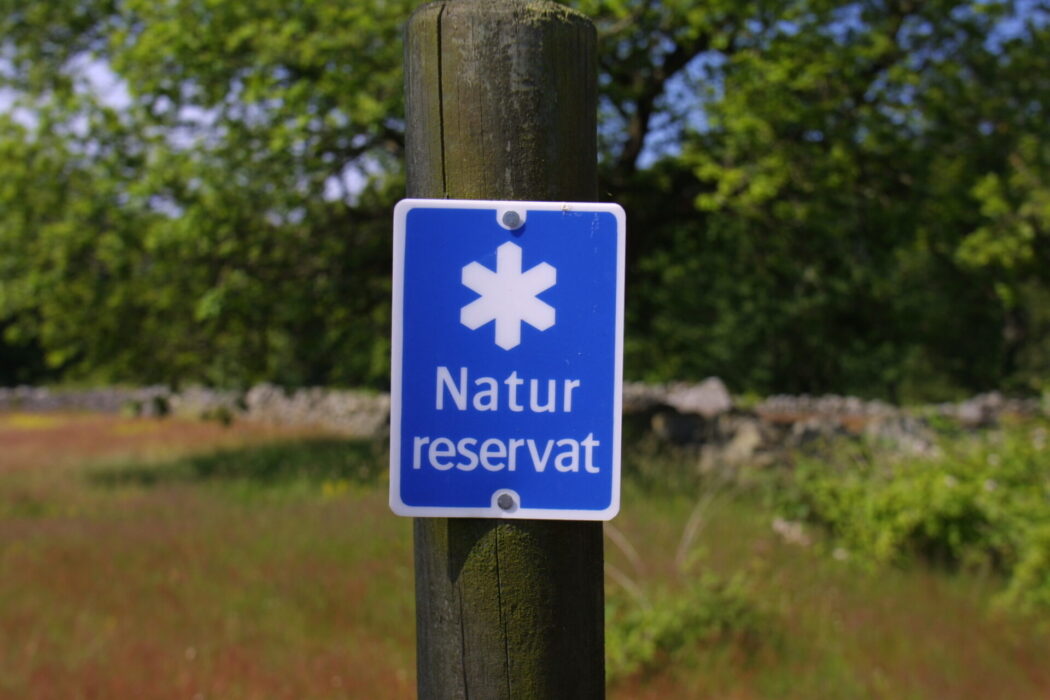 Stora Enso avverkade i reservatet av misstag, säger företaget till P4 Värmland – men har fortsatt anmäla avverkningar av skyddsvärd skog.