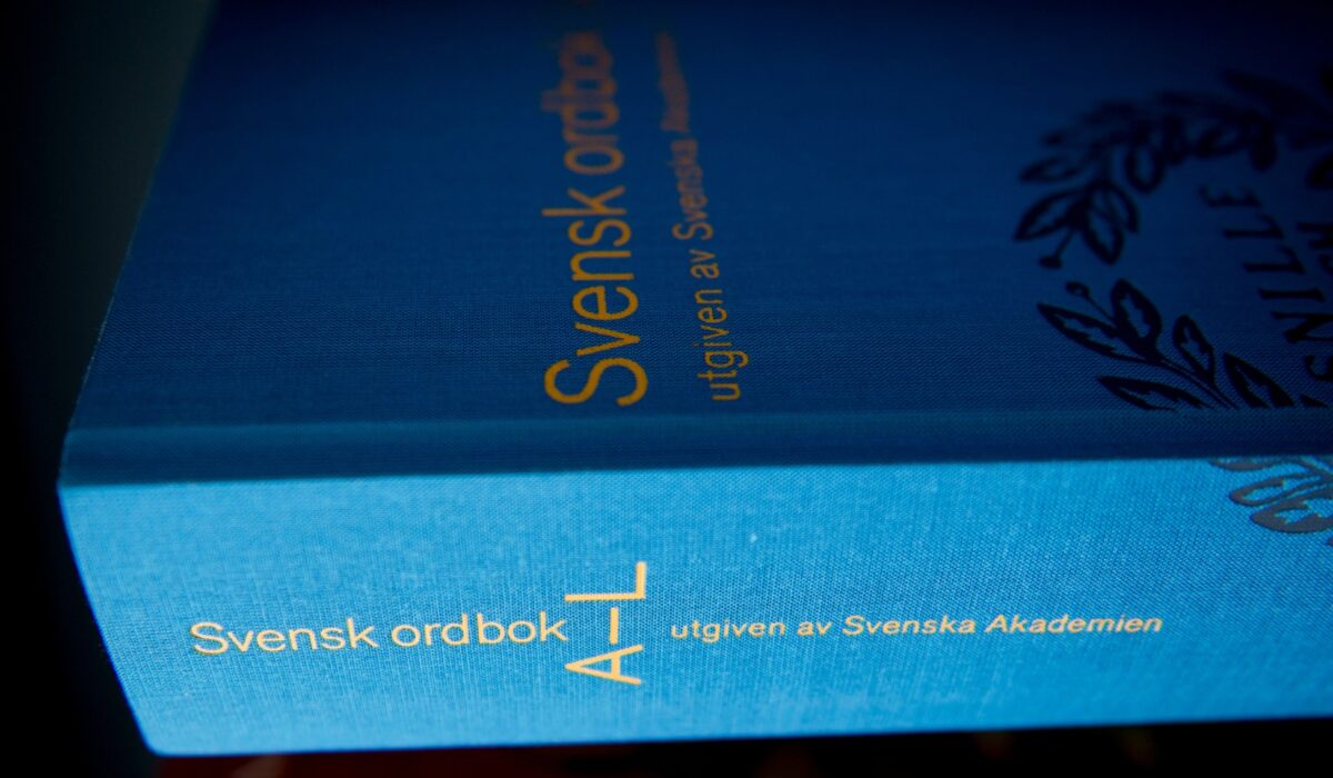 Måste begagnade varor vara slitna? Nej, det tycker inte återbruksaktören Jonas Åström, som kräver att ordbokens definition uppdateras.