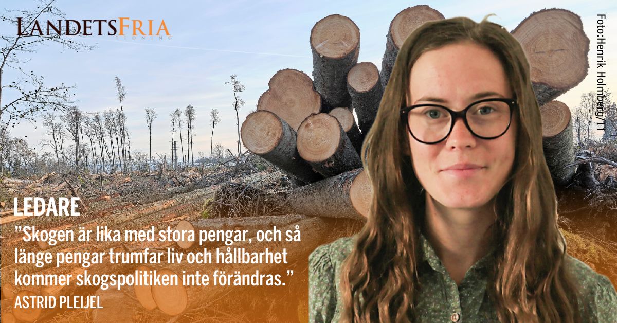 Porträttbild på skribenten med en hög avverkade träd och ett hygge på bilden i bakgrunden.