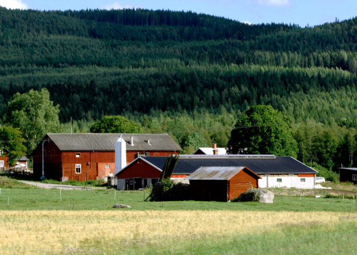 Röd byggnad i förgrunden, i bakgrunden skog på berg.