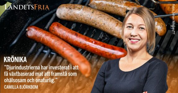 Porträtt av krönikören med korvar på en grill i bakgrunden.