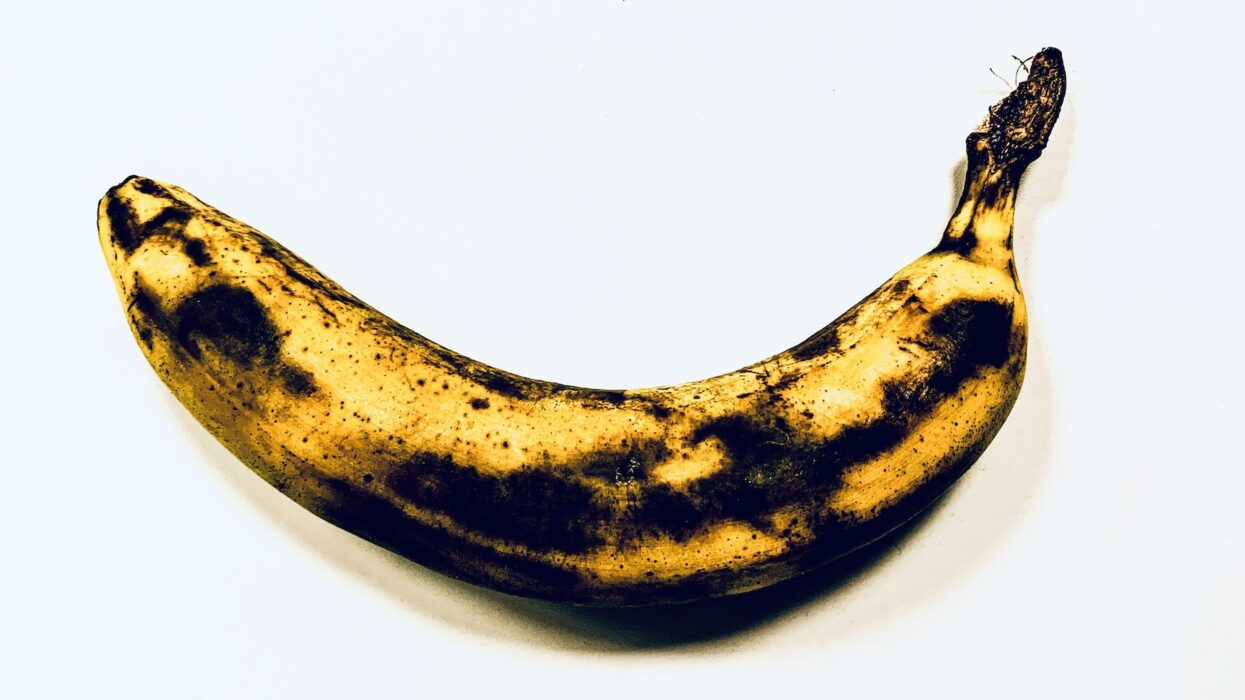 Övermogen svartfläckig banan mot vit bakgrund.