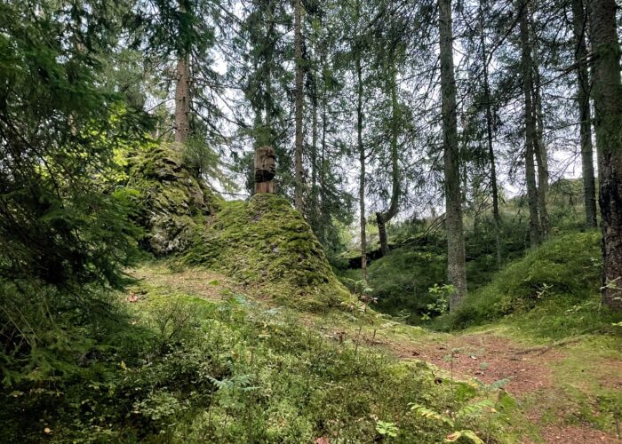 Skogsväg i naturreservat.
