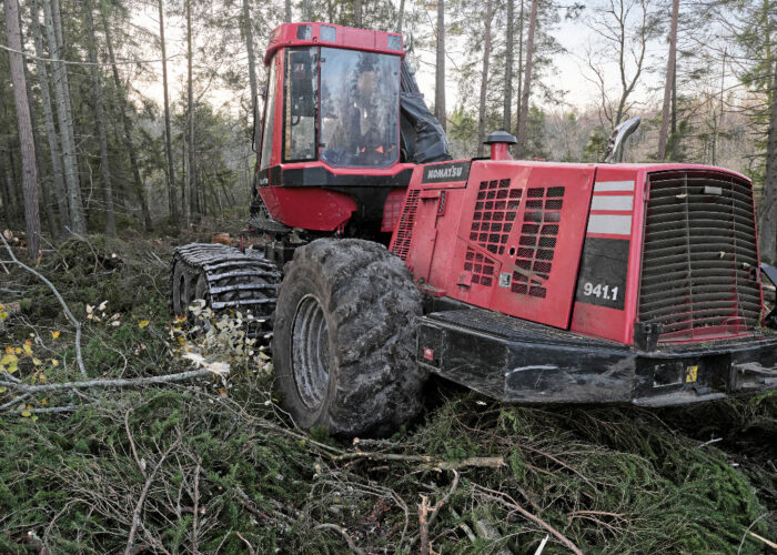 En röd traktor kör över granris i en skog.