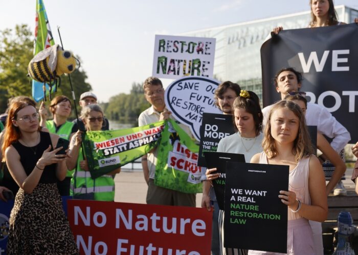Greta Thunberg och andra klimatdemonstranter.