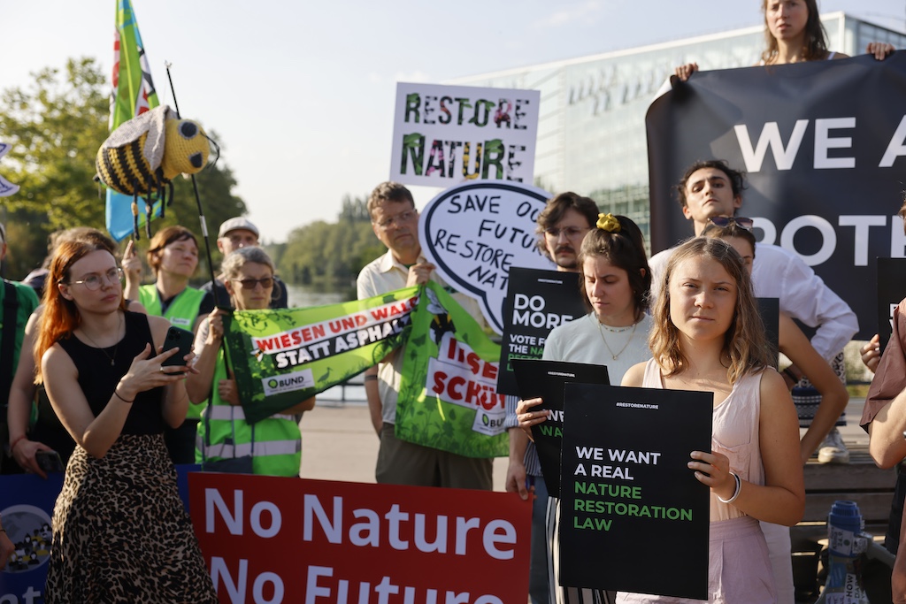 Greta Thunberg och andra klimatdemonstranter.