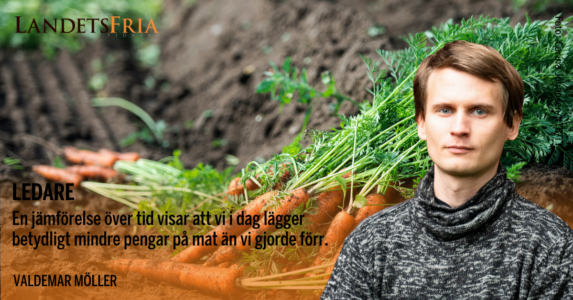 Morötter. Skribenten i förgrunden.