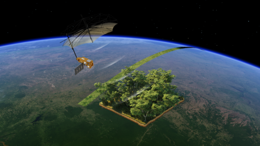 Satellit och skog i genomskärning ovanför jorden.