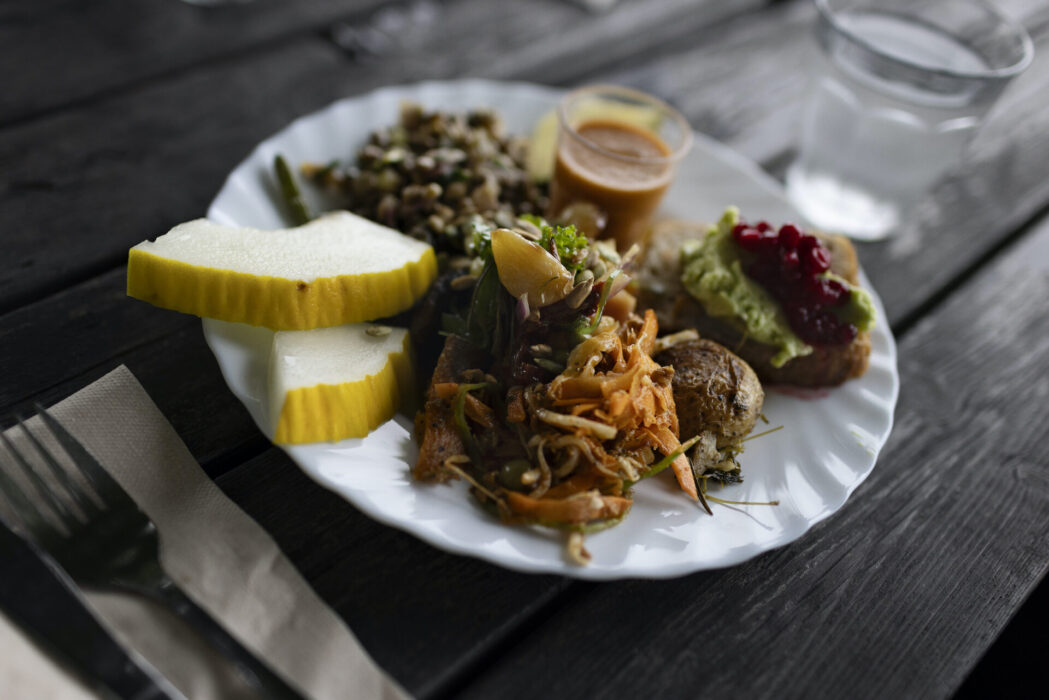 En tallrik med vegetarisk mat.